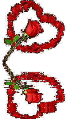 amour perdu